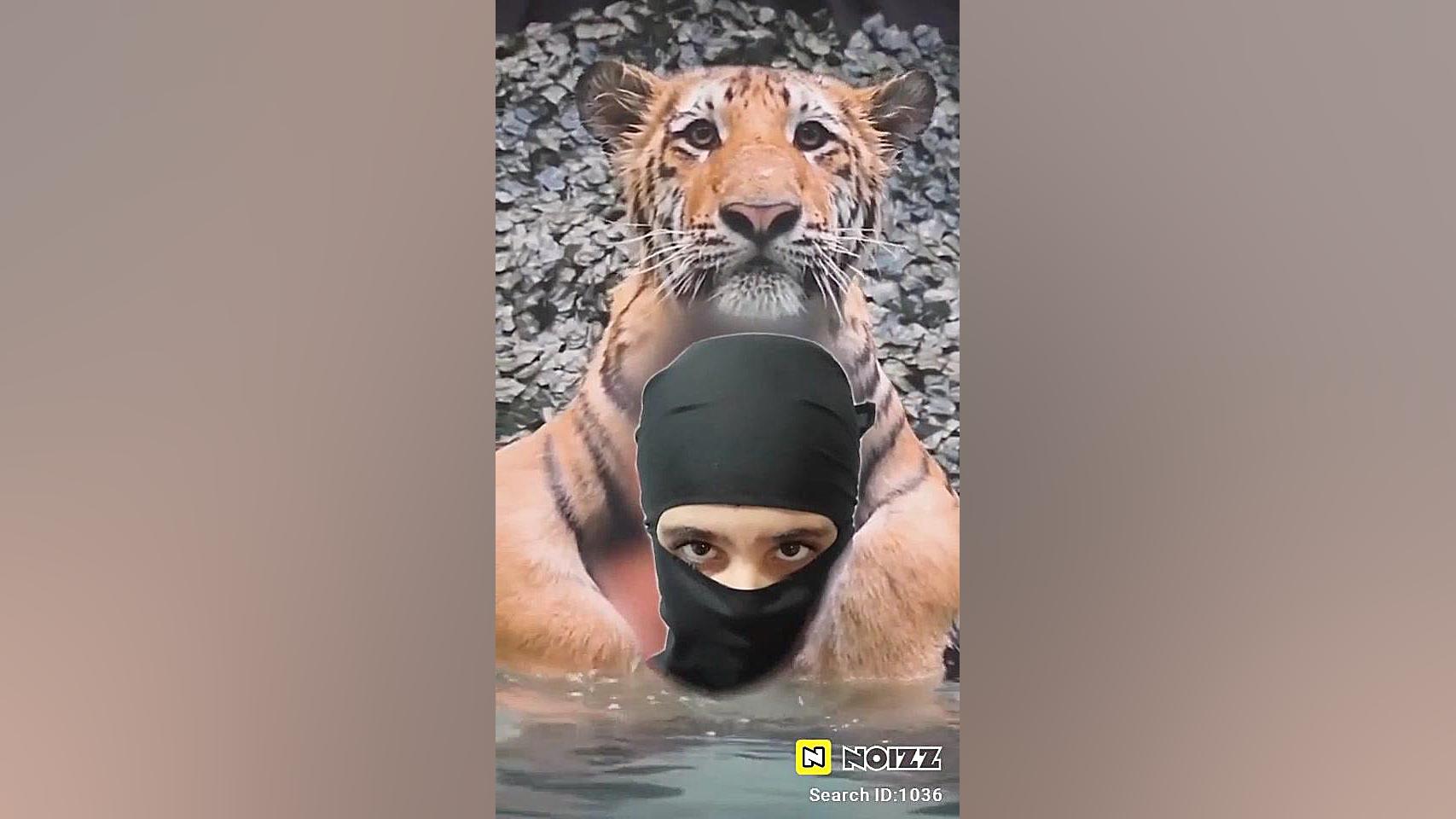 ببین منو گرفته