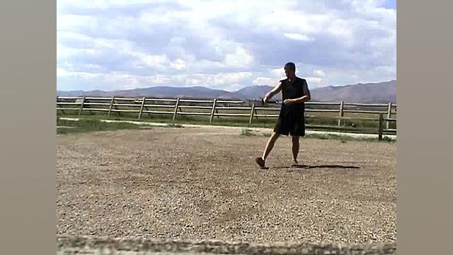 هنرهای رزمی سلاح زنده تیغه آمو...