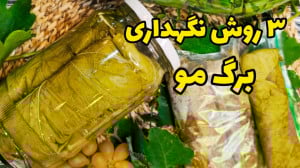روش های نگهداری طولانی مدت برگ...