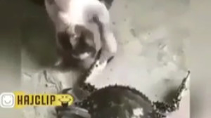 کلیپ طنز دوبله گربه و خرچنگ وا...