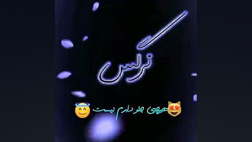 کلیپ اسمی نرگس