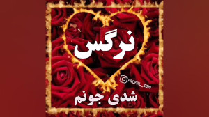 کلیپ اسمی نرگس