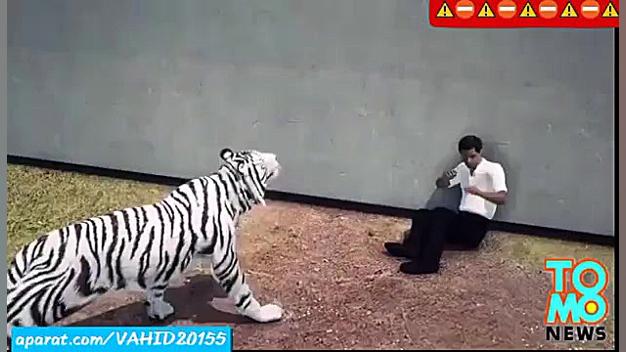 خوردن زنده زنده انسان توسط ببر...