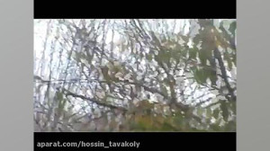 گزارش کم آبی به روایت ممل