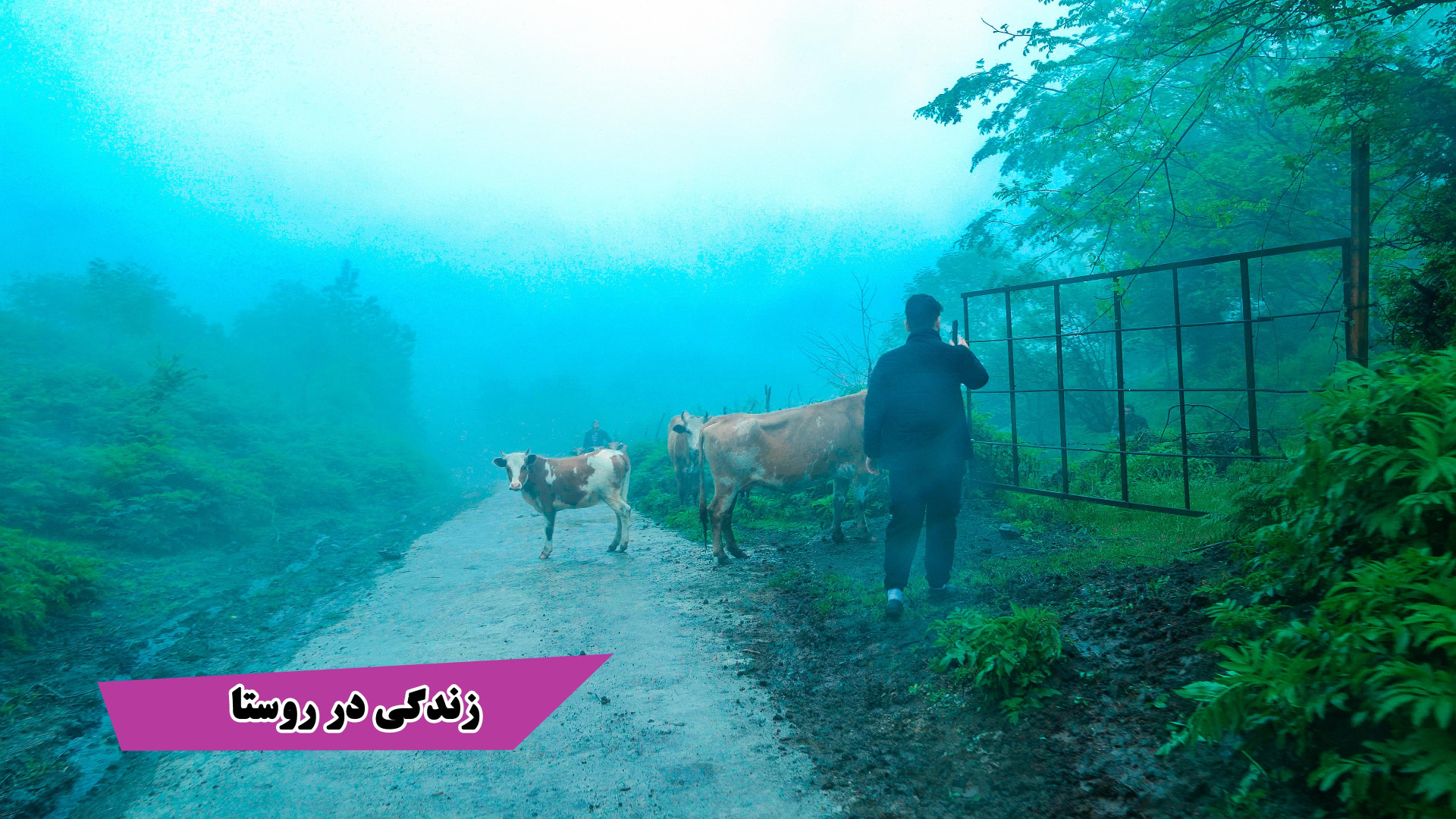 زندگی محراب، پسر روستایی