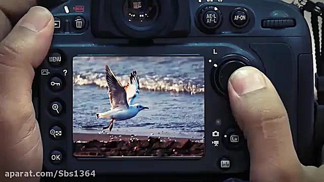 اجرای مهدی عباس نژاد دریا بارا...