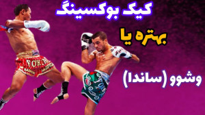 کیک بوکس بهتره یا ووشو ؟!