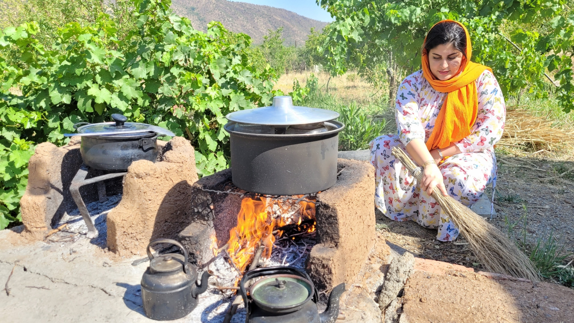 کنسرو گوشت بره در کوزه های شیش...