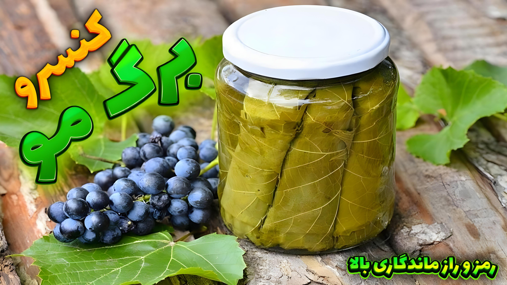 طرز تهیه کنسروبرگ مو میخای همی...