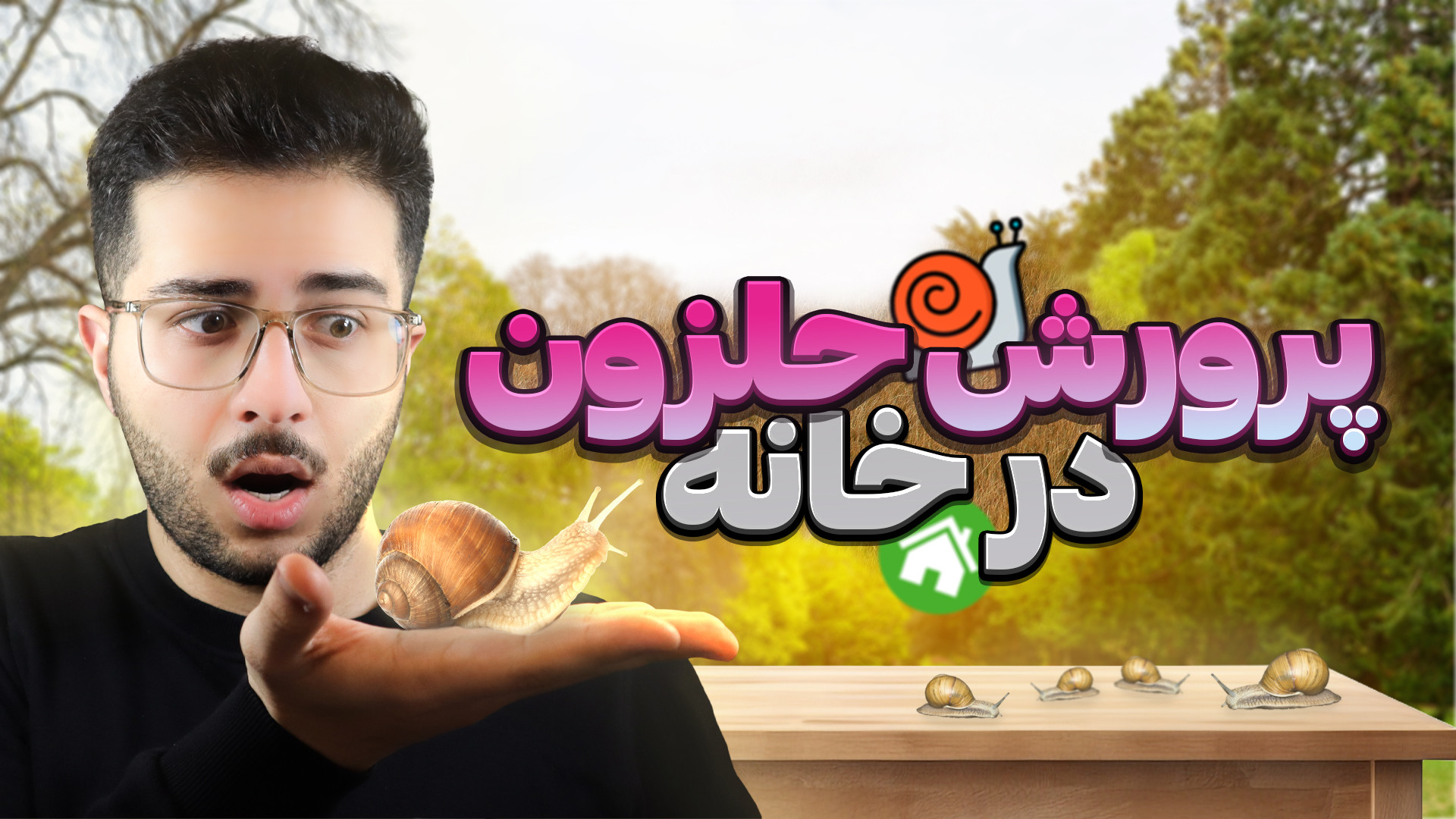 آیا از پرورش حلزون میشه کسب در...