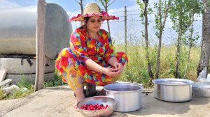 تهیه کمپوت گیلاس و مربا آلبالو...