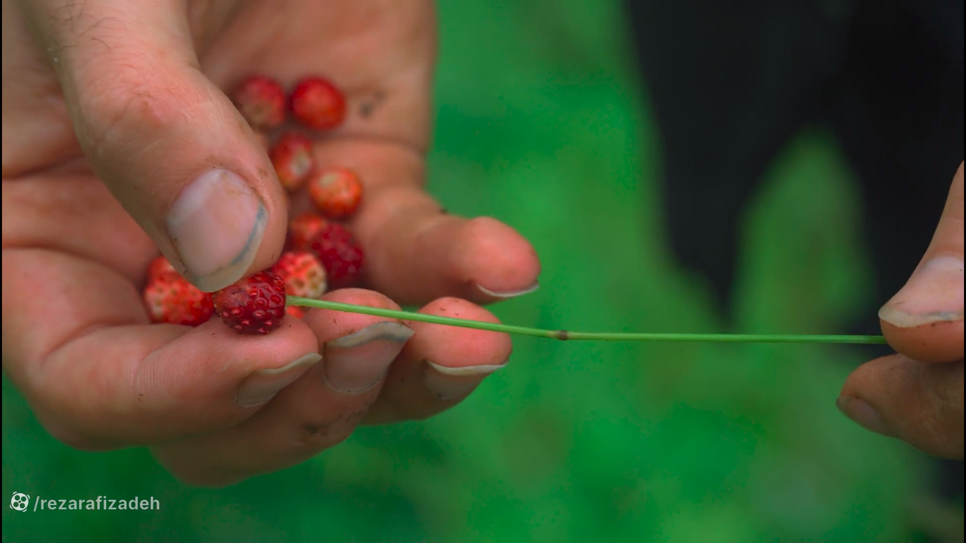گشتی در روستا