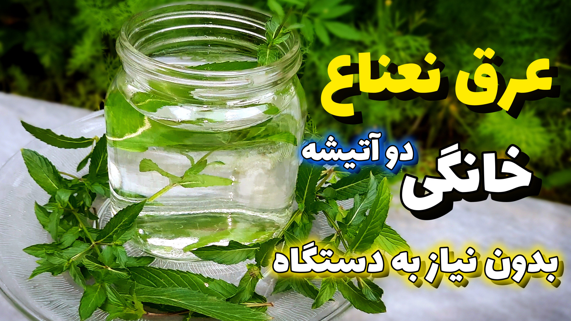 طرز تهیه عرق نعناع خانگی بدون...