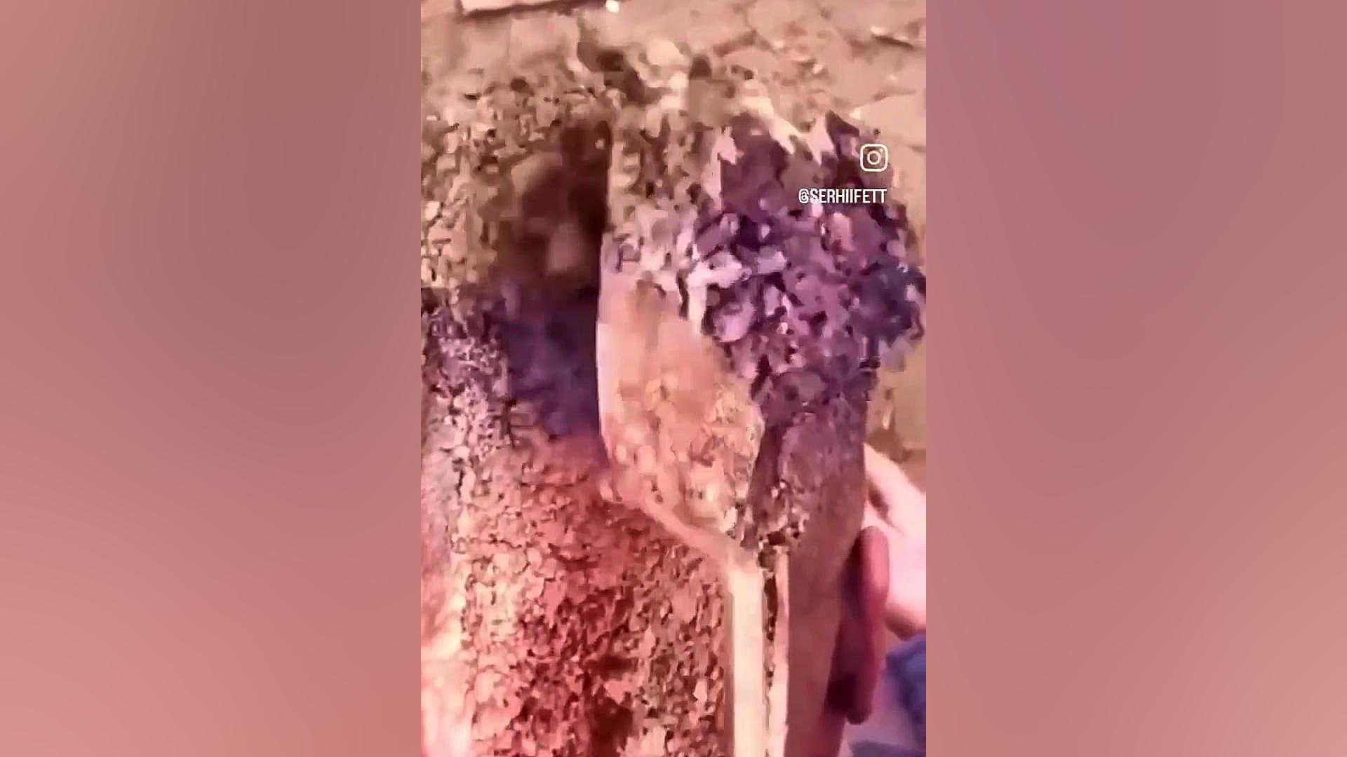 جدی میفرمایید