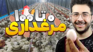 چجوری مرغداری بزنم؟ | مراحل را...