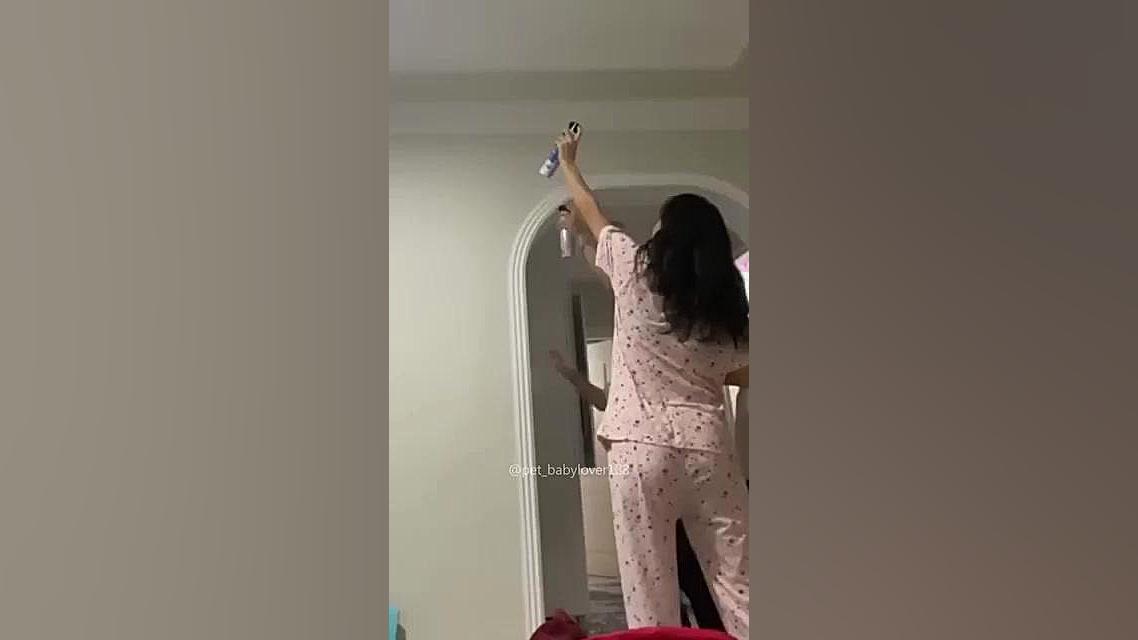 بیاین یکم با گربه ها بخندیم(لط...