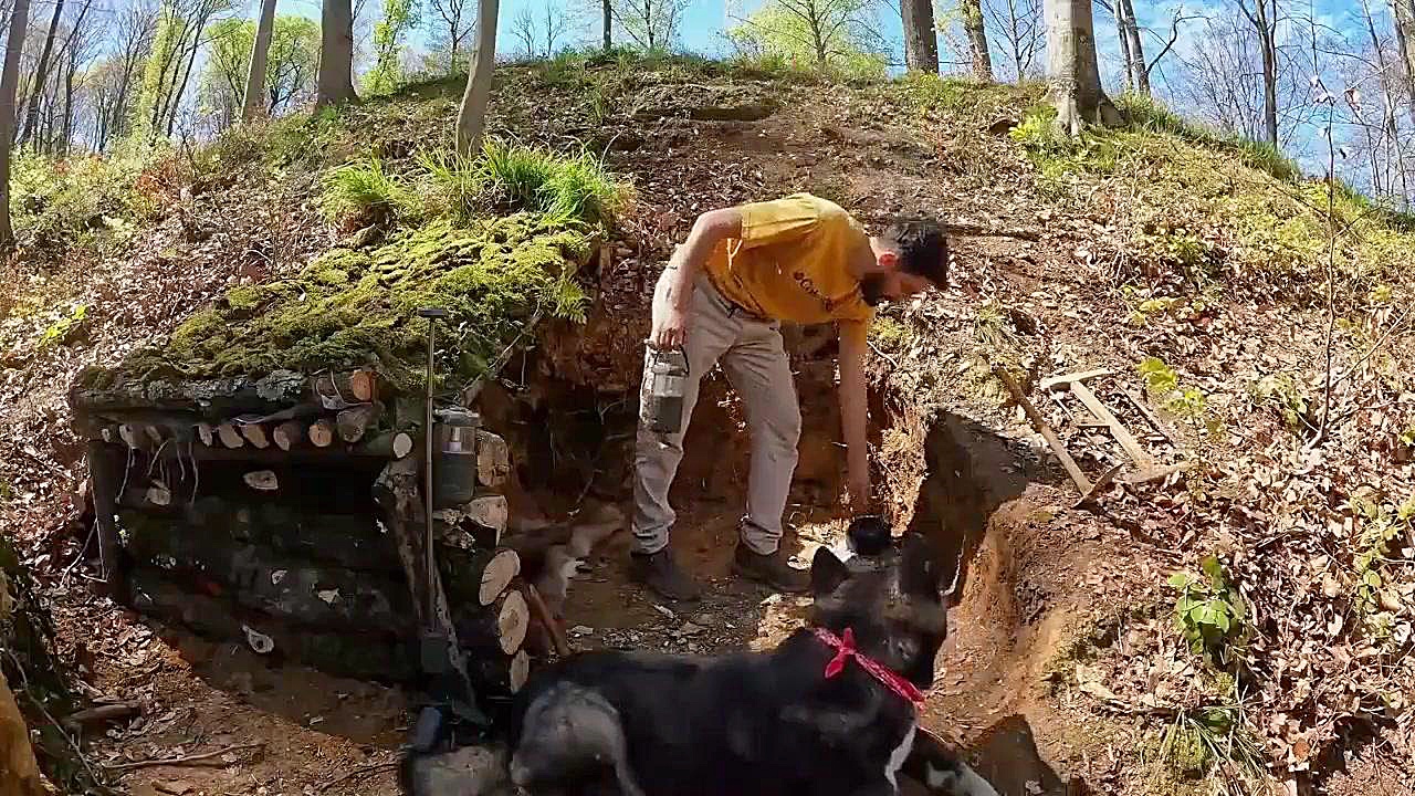 کمپینگ در جنگل و ساخت کلبه چوب...