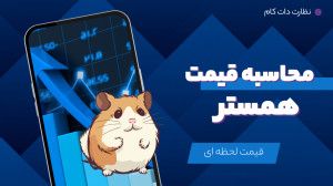 نحوه محاسبه قیمت همستر کامبت