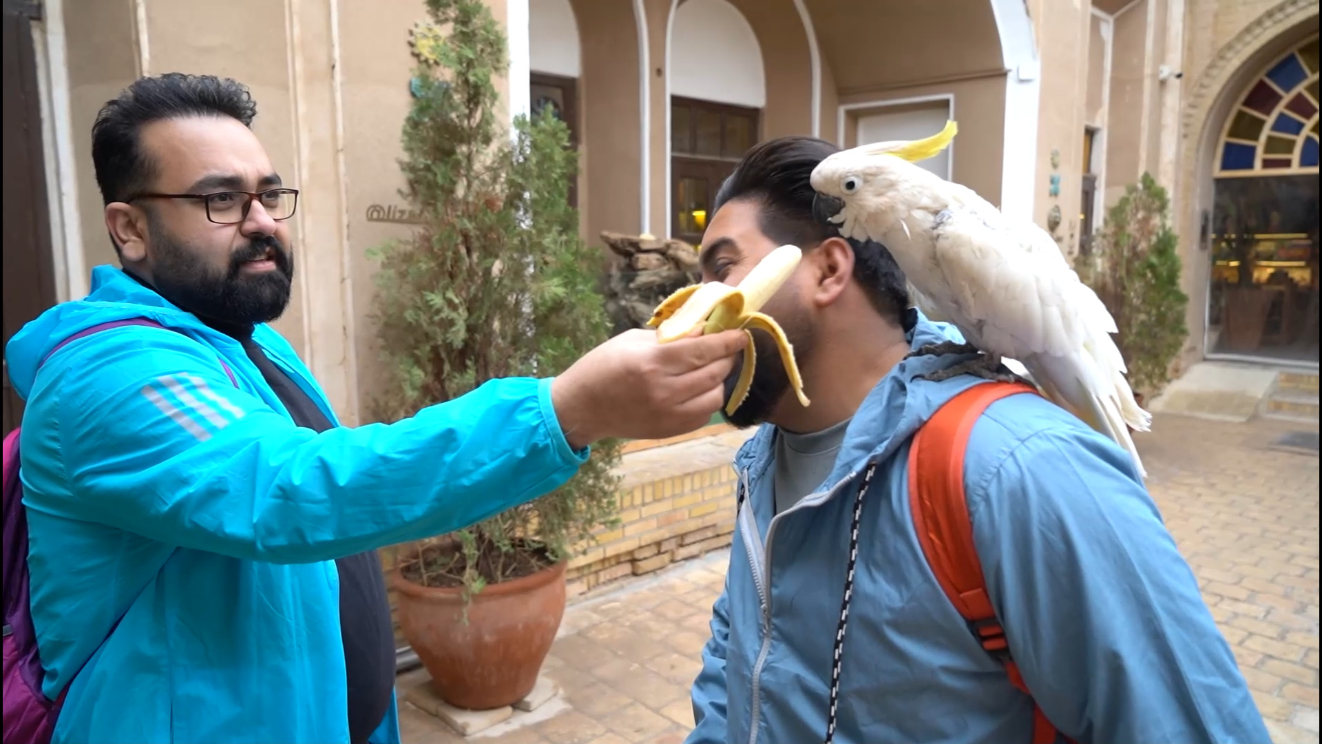 سوسمارهای یزد رو ندیدی؟پس این...