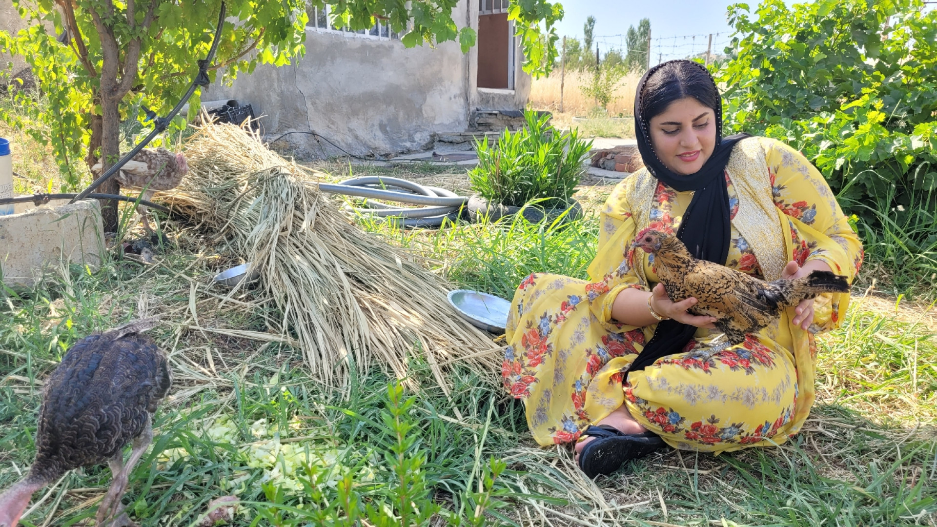 پخت اکبر جوجه به سبک روستا | ز...