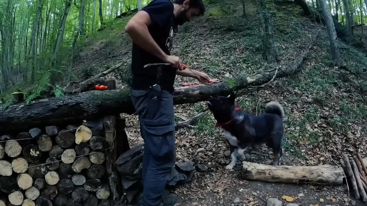 ساخت کلبه جنگلی از سنگ و چوب ،...