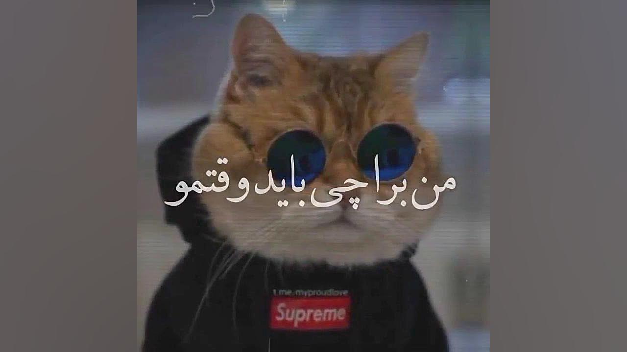 مشگل دارم با درس تاریخ