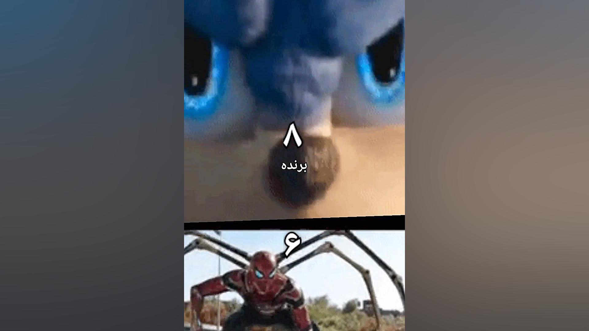 مردعنکبوتی علیه سونیک