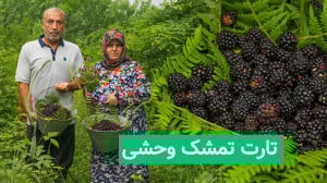 مربا و تارت تمشک وحشی