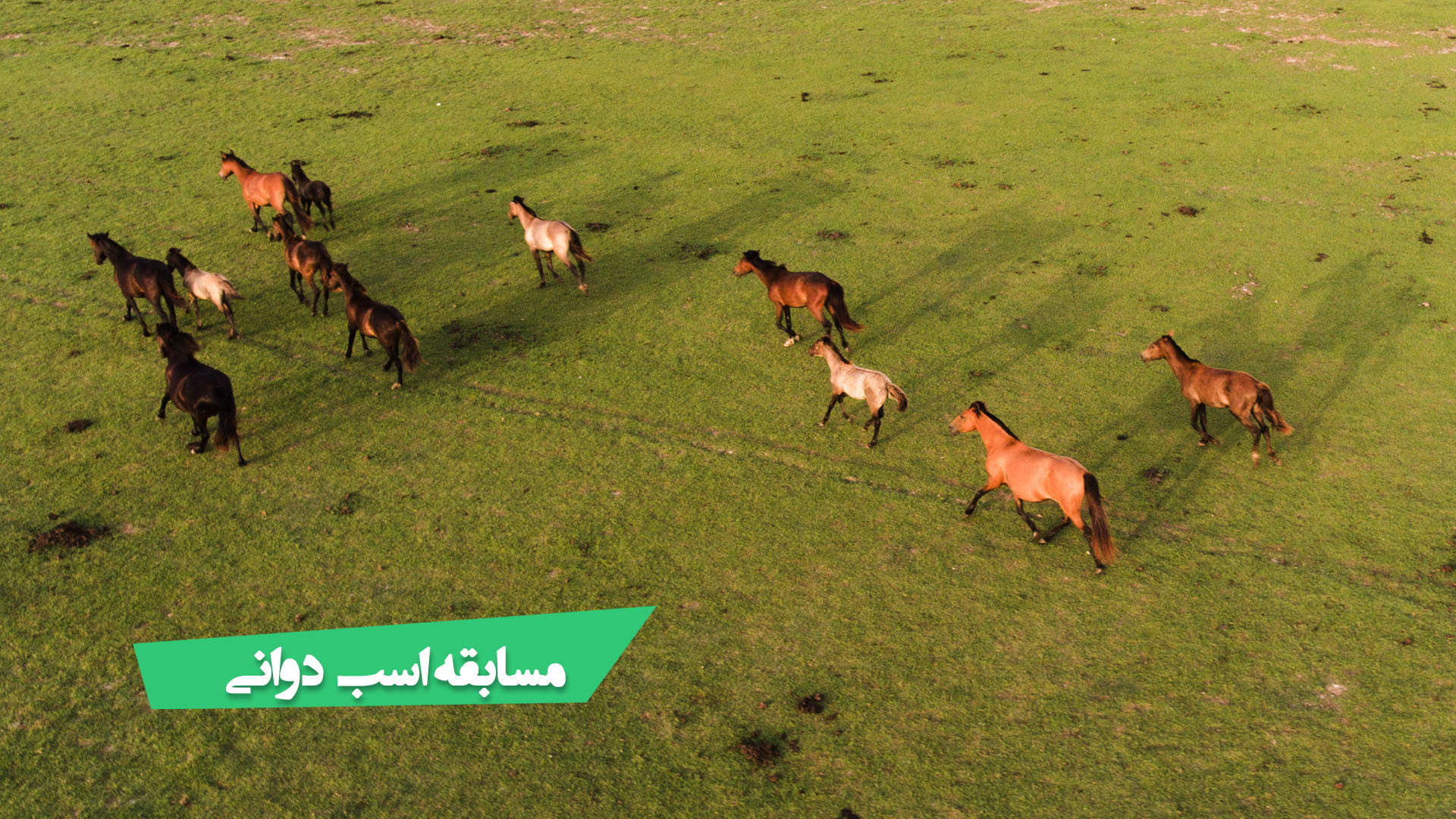 مسابقه اسب دوانی در کوههای اسا...