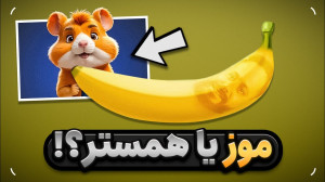 بجای همستر روی موز کلیک کن تا...