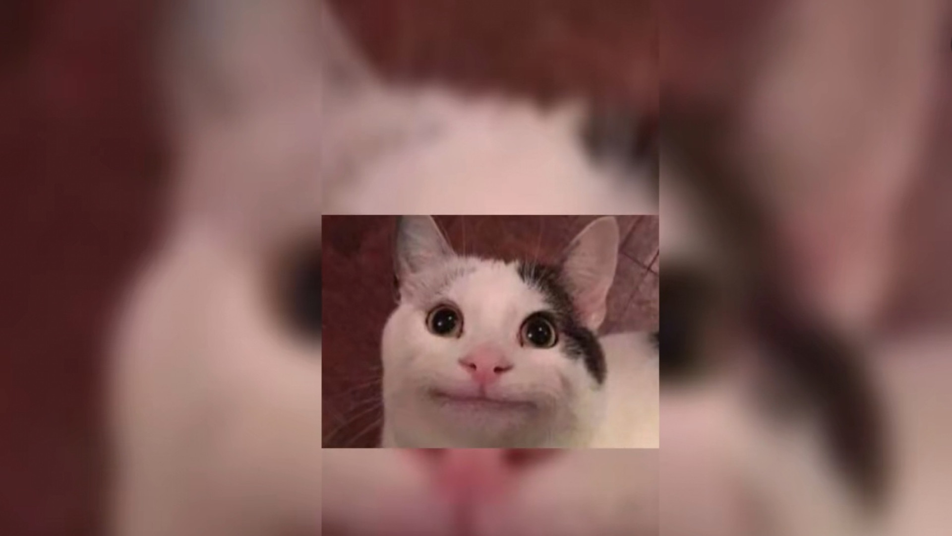 مامان وقتی میگه مثل دوستتم