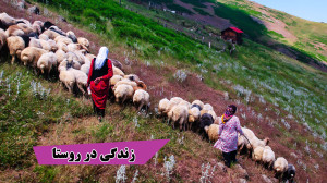 زندگی عشایری و ساخت پنیر گوسفن...