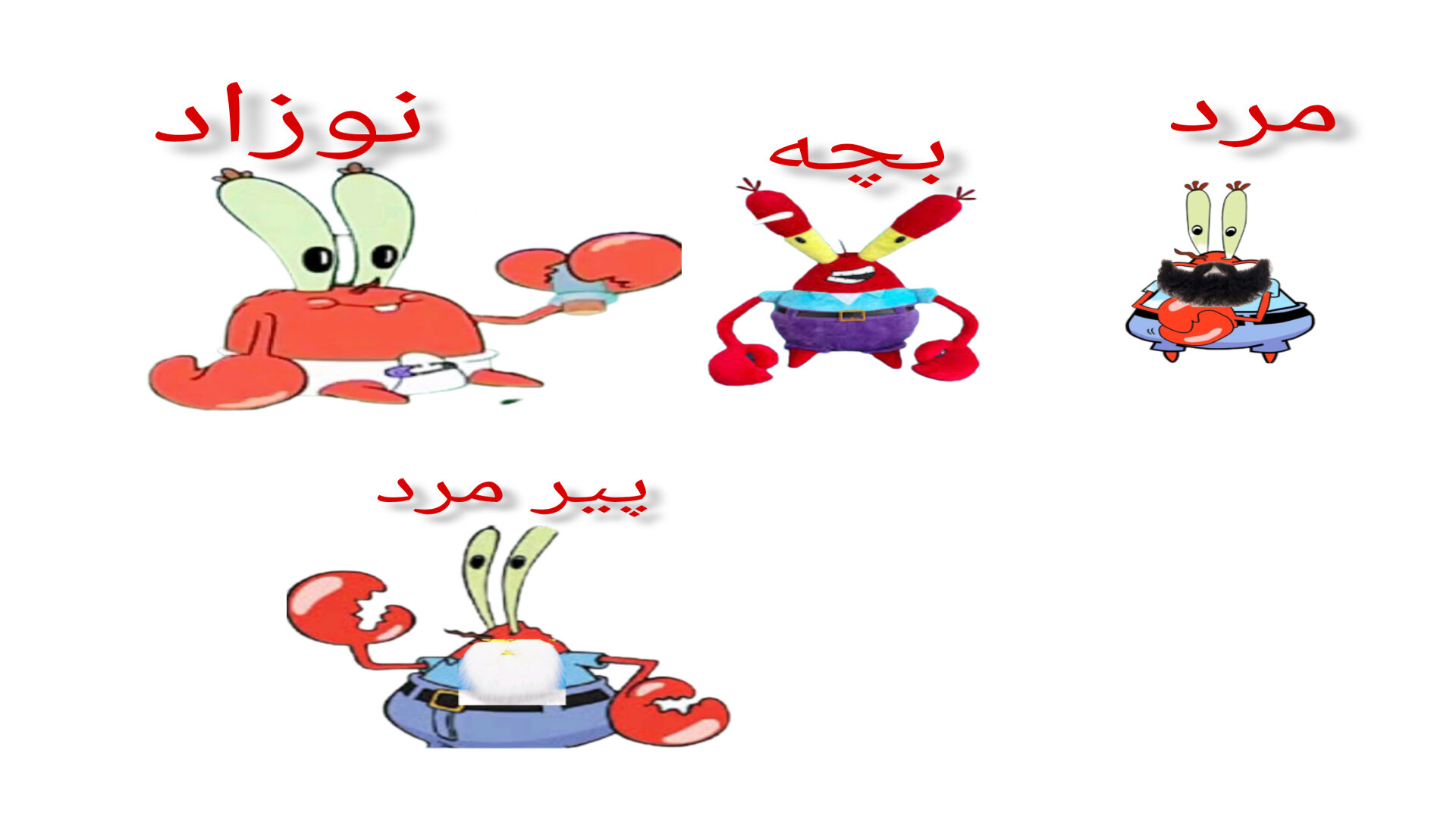 خرچنگ دوباره متولد میشود