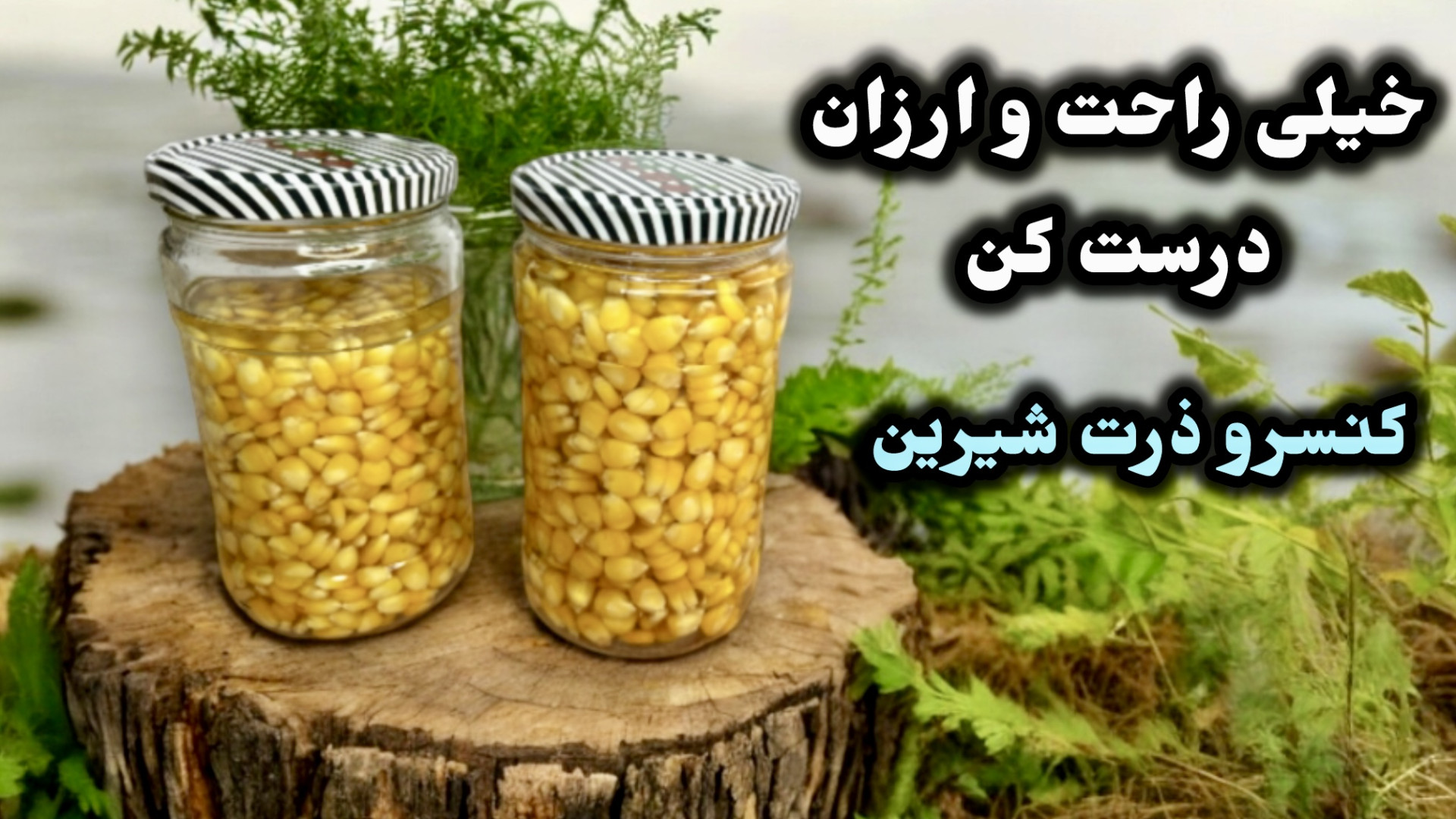 طرز تهيه كنسرو ذرت خانگى بسيار...