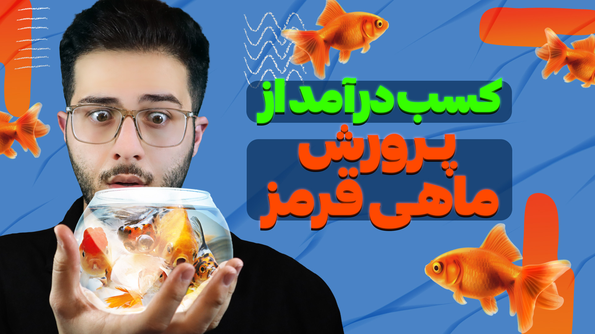 تکثیر و پرورش ماهی قرمز  صفر ت...