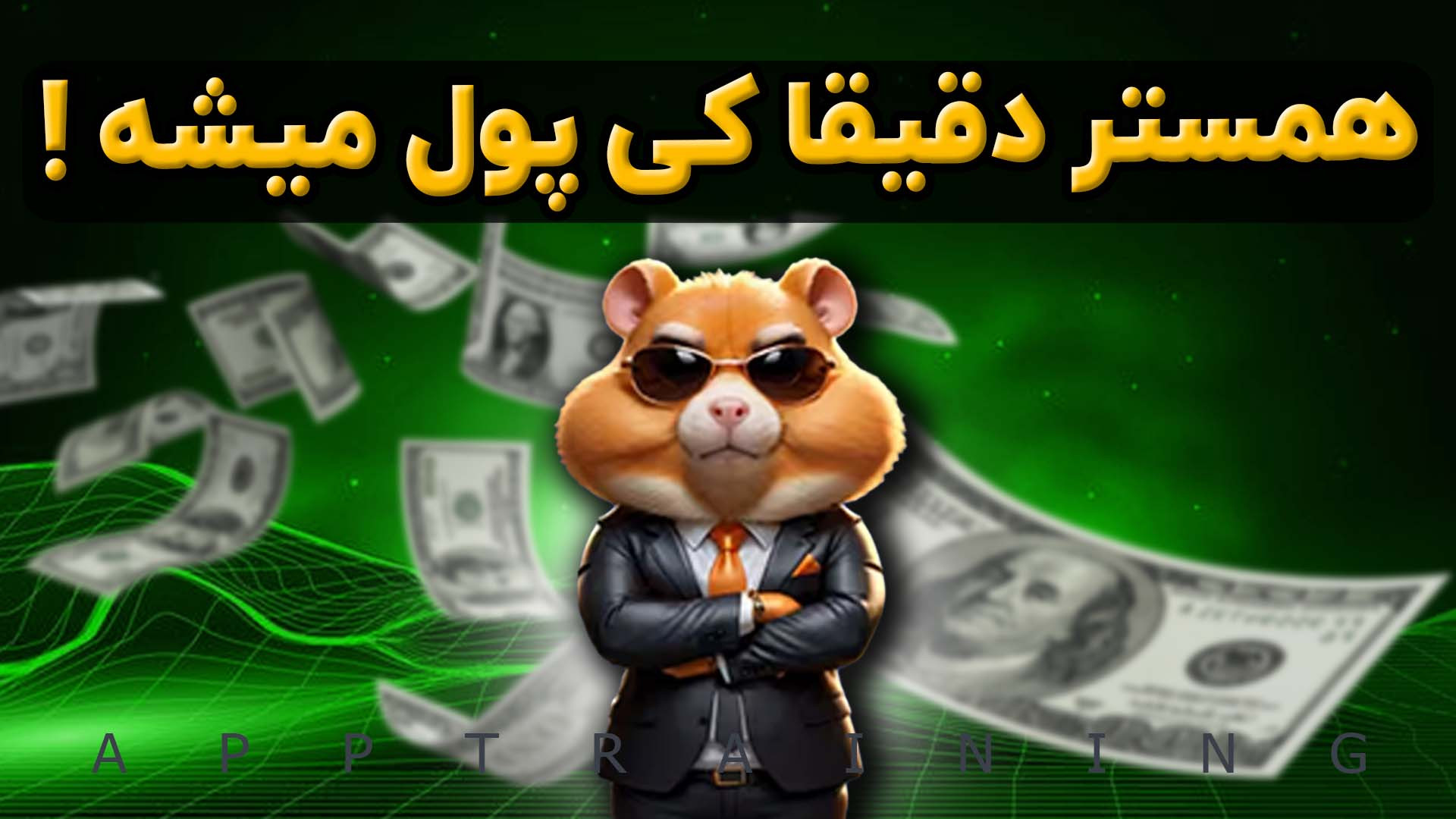 همستر دقیقا کی پول میشه؟ زمان...