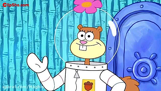 بابسفنجی جدید