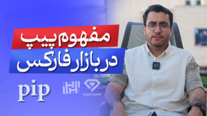مفهوم پیپ در فارکس رو مثل آب خ...