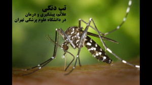 تب دنگی علائم، پیشگیری و درمان...