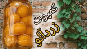 طرز تهیه کمپوت زردآلو با ماندگ...
