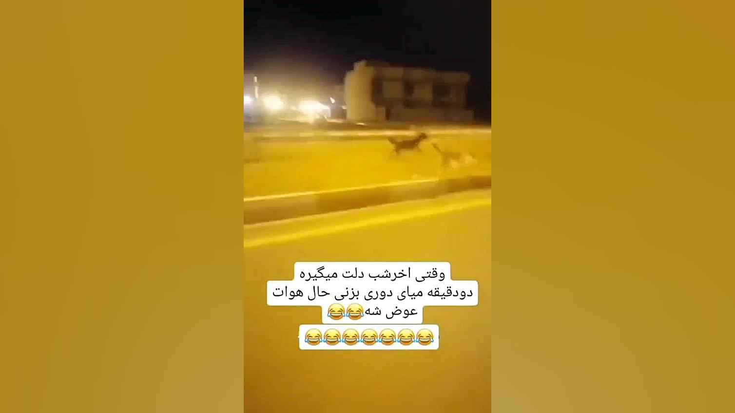 کلیپ خنددار | وقتی آخر شب دلت...