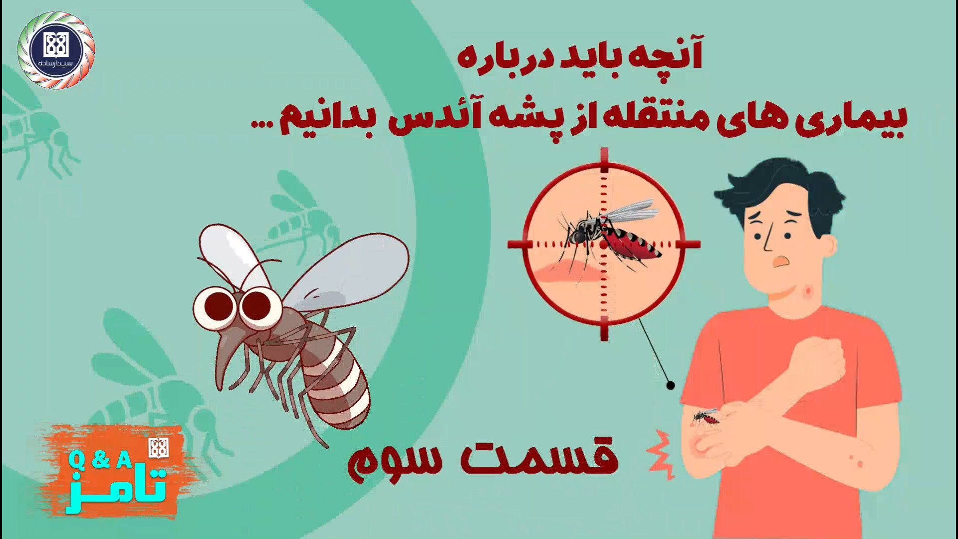 پشه آئدس و بیماری تب دانگ (قسم...