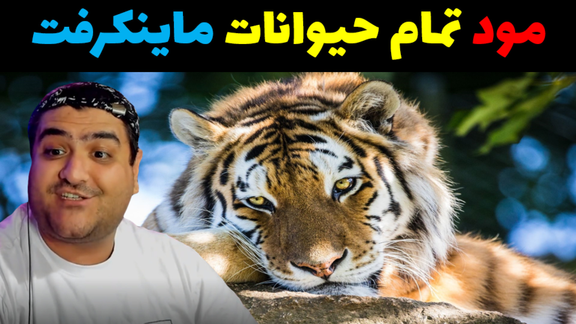 مود باغ وحش و تمام حیوانات جها...