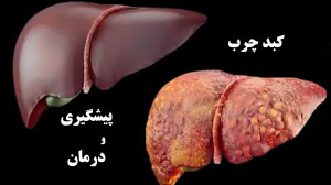 پرسش و پاسخ با متخصصان دانشگاه...