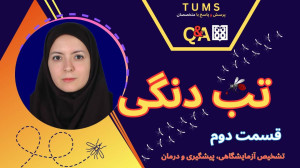 گزش پشه آئدس ، پیشگیری و درمان...
