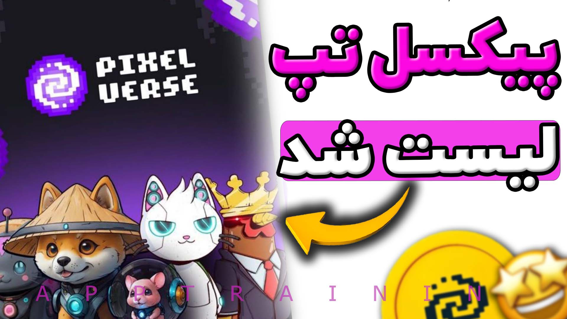 ربات پیکسل تپ لیست شد | قیمت و...