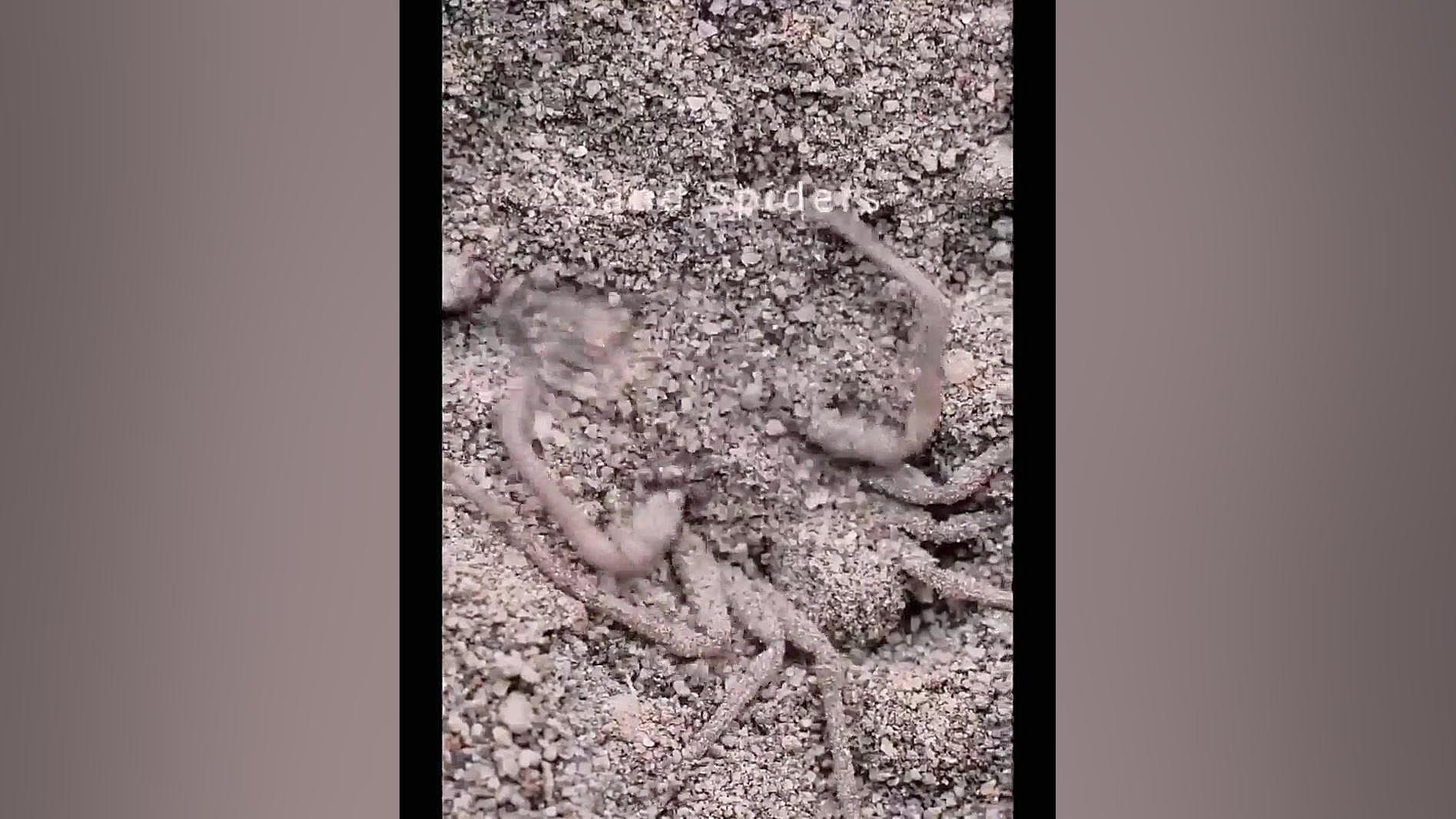 ازخلخحزخحر