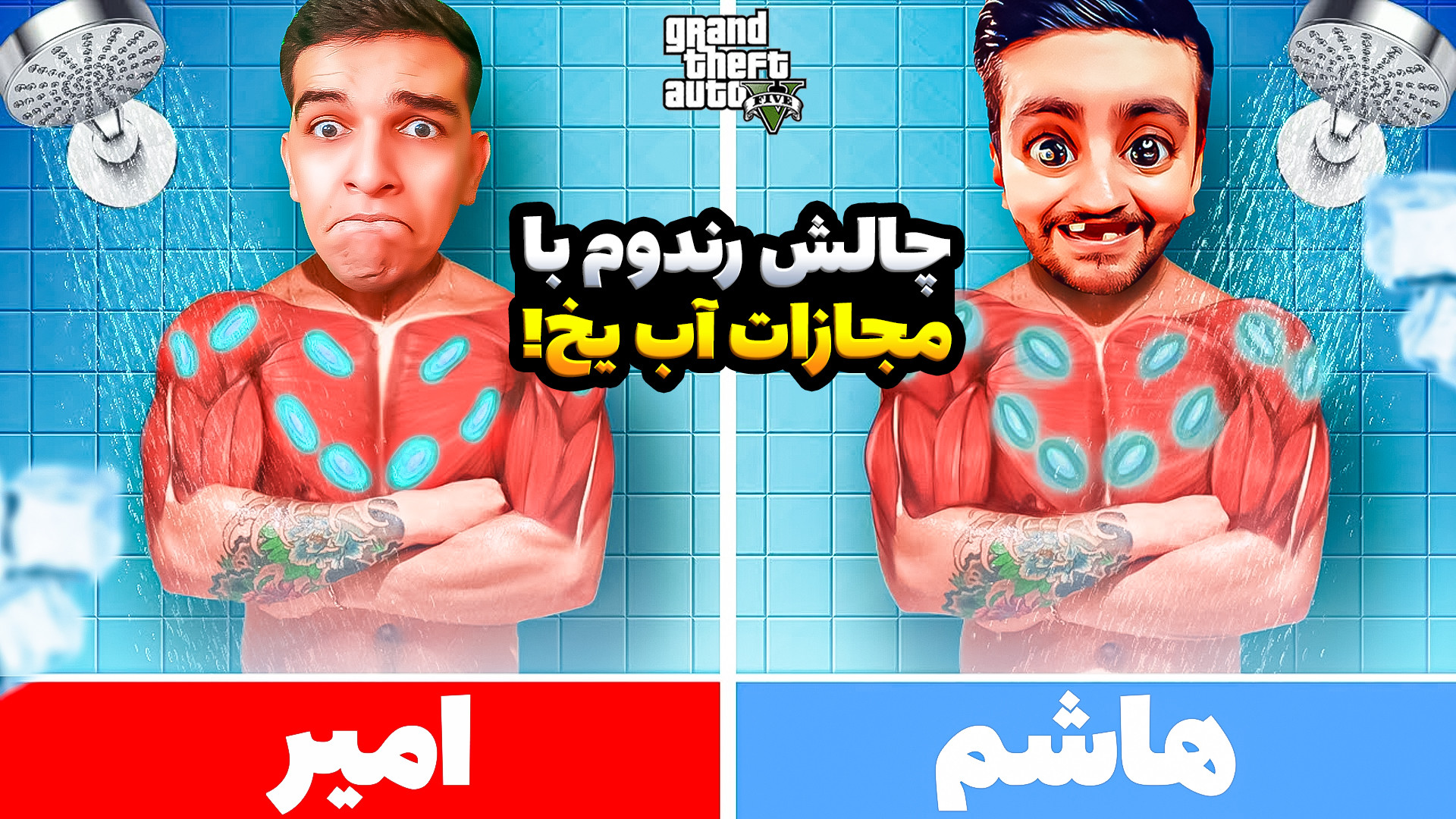 چالش ماشین های رندوم با هاشم د...