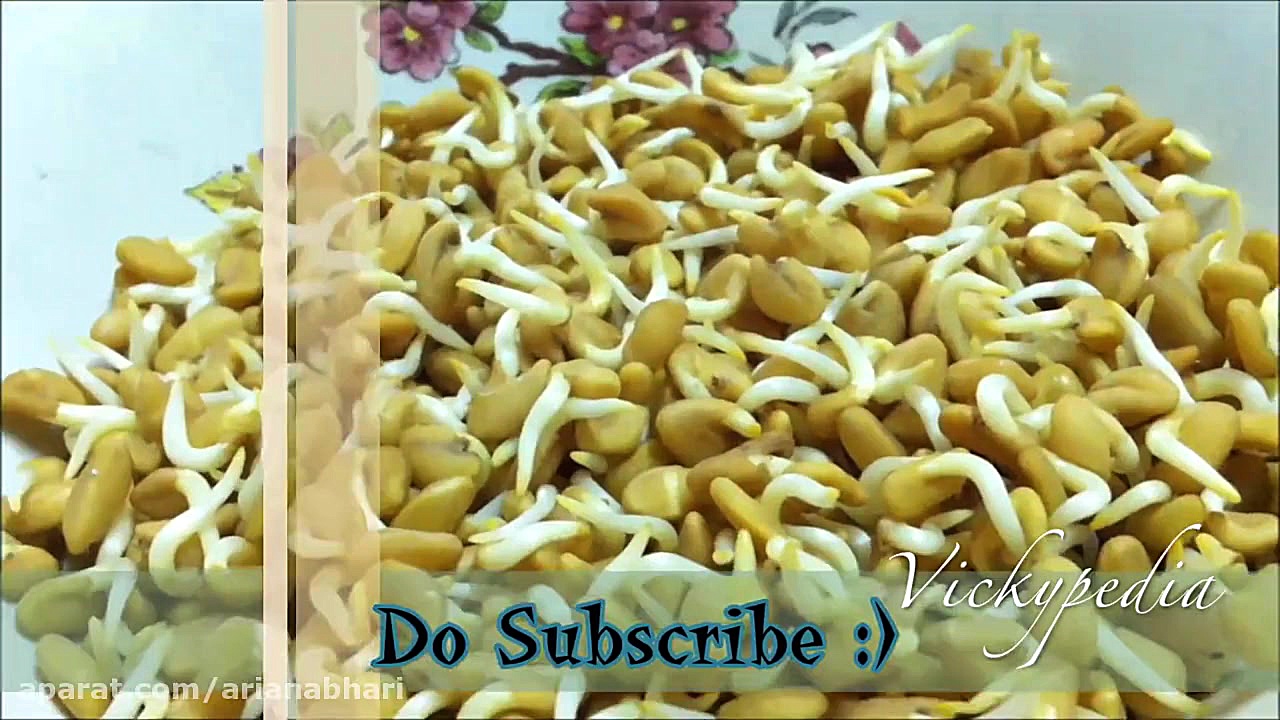 همه چیز در مورد جوانه ماش و خو...