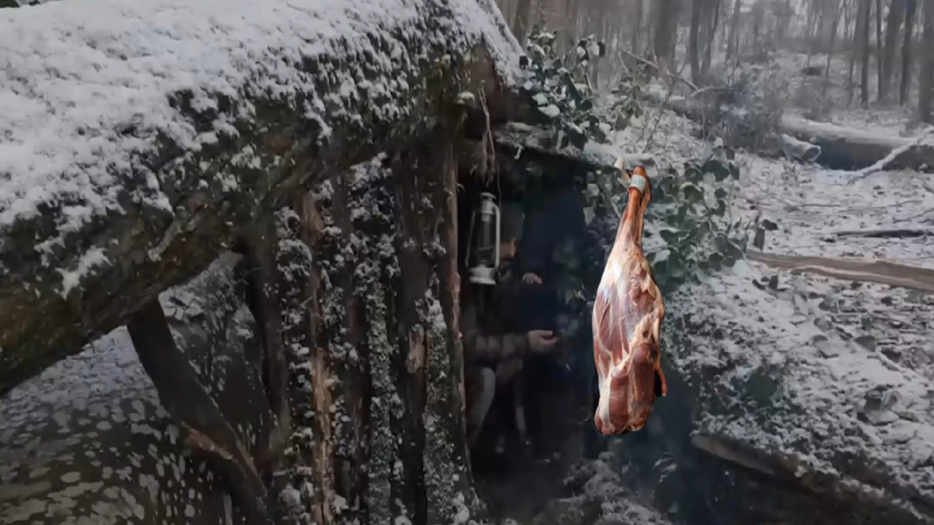 کمپینگ و ساخت کلبه جنگلی در تن...